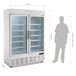 Frigo congélateur 2 portes professionnel